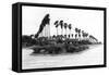 Texas - Palms along the Highway in Lower Rio Grande Valley-Lantern Press-Framed Stretched Canvas