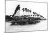 Texas - Palms along the Highway in Lower Rio Grande Valley-Lantern Press-Mounted Art Print