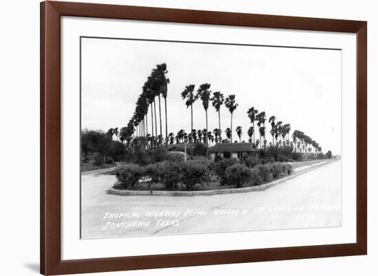 Texas - Palms along the Highway in Lower Rio Grande Valley-Lantern Press-Framed Art Print