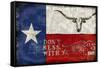 Texas Proud-Luke Wilson-Framed Stretched Canvas