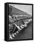 Texas Rangerettes Performing During Inauguration Festivities for Dwight D. Eisenhower-Hank Walker-Framed Stretched Canvas