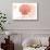 Texas - Scallop Shell - Coral - Coastal Icon-Lantern Press-Stretched Canvas displayed on a wall