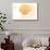 Texas - Scallop Shell - Yellow - Coastal Icon-Lantern Press-Stretched Canvas displayed on a wall