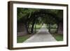 Texas State Cemetery, United States-null-Framed Giclee Print