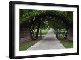 Texas State Cemetery, United States-null-Framed Giclee Print