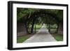 Texas State Cemetery, United States-null-Framed Giclee Print