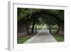 Texas State Cemetery, United States-null-Framed Giclee Print