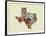 Texas State Map-Lanre Adefioye-Framed Premium Giclee Print