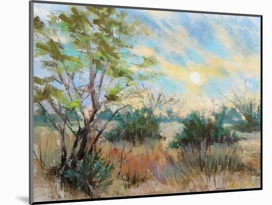 Texas Sunrise-Nancie King Mertz-Mounted Art Print