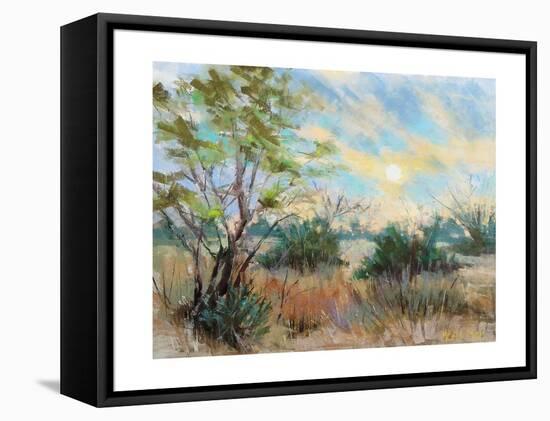 Texas Sunrise-Nancie King Mertz-Framed Stretched Canvas