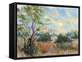 Texas Sunrise-Nancie King Mertz-Framed Stretched Canvas