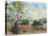 Texas Sunrise-Nancie King Mertz-Stretched Canvas