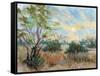 Texas Sunrise-Nancie King Mertz-Framed Stretched Canvas