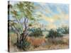 Texas Sunrise-Nancie King Mertz-Stretched Canvas