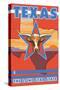 Texas, The Lone Star State, Longhorn Bull-Lantern Press-Stretched Canvas