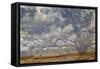 Texas Tree Collage-Sisa Jasper-Framed Stretched Canvas