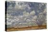 Texas Tree Collage-Sisa Jasper-Stretched Canvas