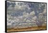 Texas Tree Collage-Sisa Jasper-Framed Stretched Canvas