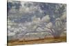 Texas Tree Collage-Sisa Jasper-Stretched Canvas