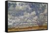 Texas Tree Collage-Sisa Jasper-Framed Stretched Canvas