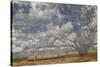 Texas Tree Collage-Sisa Jasper-Stretched Canvas