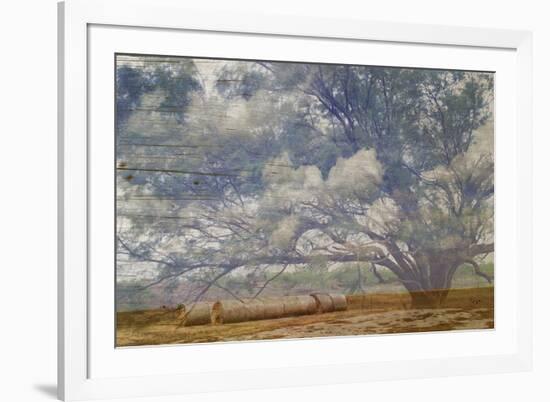 Texas Tree Collage-Sisa Jasper-Framed Premium Giclee Print