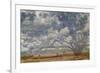 Texas Tree Collage-Sisa Jasper-Framed Premium Giclee Print