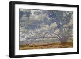 Texas Tree Collage-Sisa Jasper-Framed Art Print