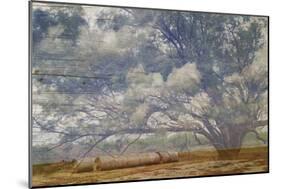 Texas Tree Collage-Sisa Jasper-Mounted Art Print