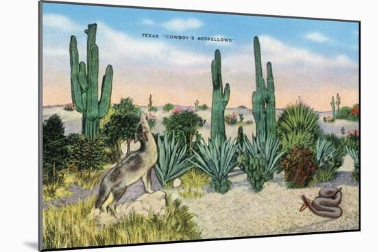 Texas - View of a Cowboy's Bedfellows, Cacti, Coyote, and a Rattlesnake, c.1940-Lantern Press-Mounted Art Print