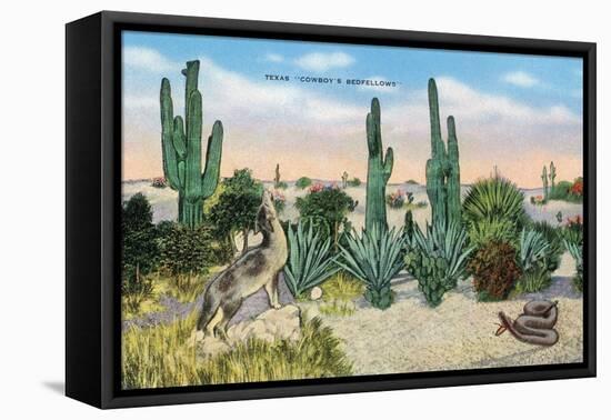 Texas - View of a Cowboy's Bedfellows, Cacti, Coyote, and a Rattlesnake, c.1940-Lantern Press-Framed Stretched Canvas