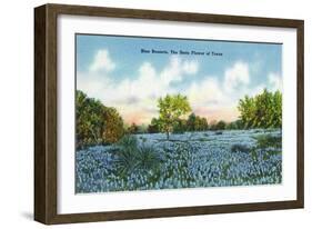 Texas - View of a Field of Blue Bonnets, c.1945-Lantern Press-Framed Art Print