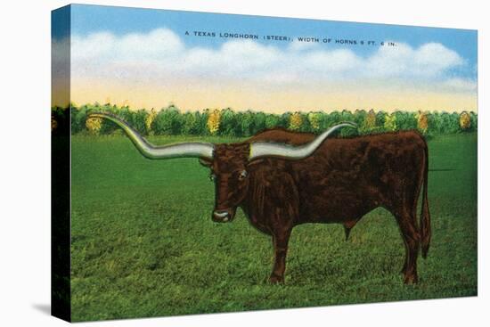 Texas - View of a Texan Longhorn (Steer) with Horns over Nine Feet, c.1940-Lantern Press-Stretched Canvas