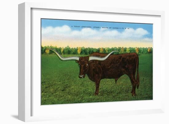 Texas - View of a Texan Longhorn (Steer) with Horns over Nine Feet, c.1940-Lantern Press-Framed Art Print