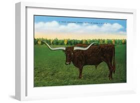 Texas - View of a Texan Longhorn (Steer) with Horns over Nine Feet, c.1940-Lantern Press-Framed Art Print