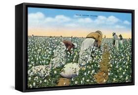 Texas - View of People Picking Texan Cotton, c.1940-Lantern Press-Framed Stretched Canvas