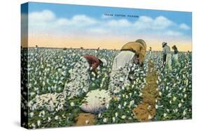 Texas - View of People Picking Texan Cotton, c.1940-Lantern Press-Stretched Canvas