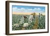 Texas - View of People Picking Texan Cotton, c.1940-Lantern Press-Framed Art Print