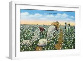 Texas - View of People Picking Texan Cotton, c.1940-Lantern Press-Framed Art Print