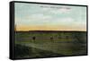 Texas, View of the Butler Ranch near Lubbock-Lantern Press-Framed Stretched Canvas