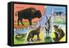 Texas - View of West Texas Natives: Buffalo, Coyote, Rattlesnake, Bob Cat, Antelope, Deer, c.1943-Lantern Press-Framed Stretched Canvas