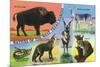 Texas - View of West Texas Natives: Buffalo, Coyote, Rattlesnake, Bob Cat, Antelope, Deer, c.1943-Lantern Press-Mounted Premium Giclee Print