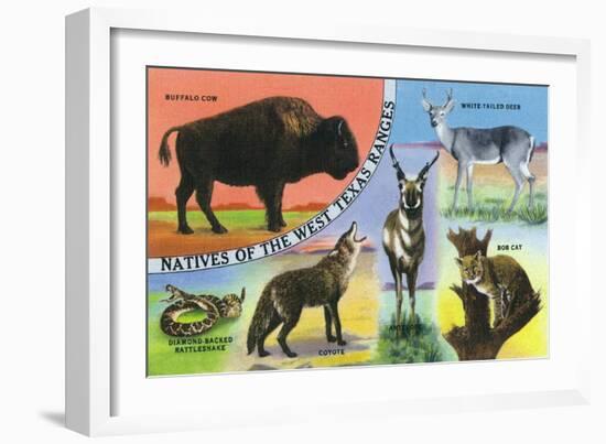 Texas - View of West Texas Natives: Buffalo, Coyote, Rattlesnake, Bob Cat, Antelope, Deer, c.1943-Lantern Press-Framed Art Print