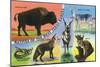 Texas - View of West Texas Natives: Buffalo, Coyote, Rattlesnake, Bob Cat, Antelope, Deer, c.1943-Lantern Press-Mounted Art Print