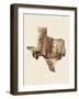 Texas Watercolor Map-Michael Tompsett-Framed Art Print