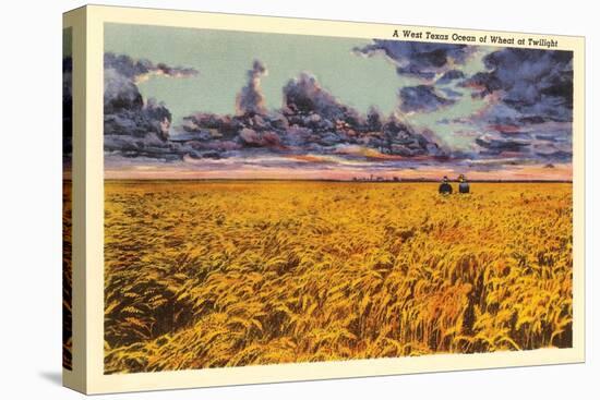 Texas Wheat at Twilight-null-Stretched Canvas
