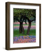 Texas Wildflowers and Dancing Trees, Hill Country, Texas, USA-Nancy Rotenberg-Framed Photographic Print