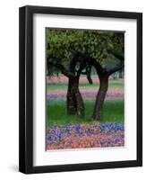 Texas Wildflowers and Dancing Trees, Hill Country, Texas, USA-Nancy Rotenberg-Framed Photographic Print