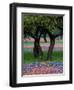 Texas Wildflowers and Dancing Trees, Hill Country, Texas, USA-Nancy Rotenberg-Framed Photographic Print