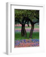 Texas Wildflowers and Dancing Trees, Hill Country, Texas, USA-Nancy Rotenberg-Framed Photographic Print